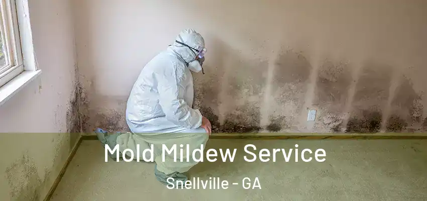  Mold Mildew Service Snellville - GA