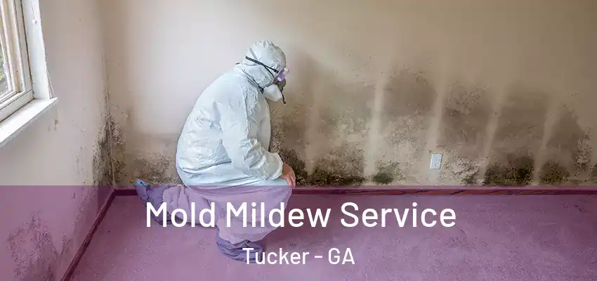 Mold Mildew Service Tucker - GA