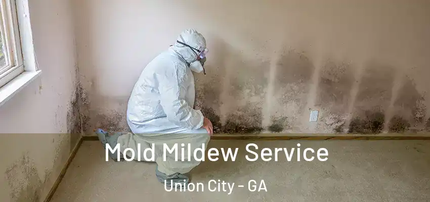  Mold Mildew Service Union City - GA
