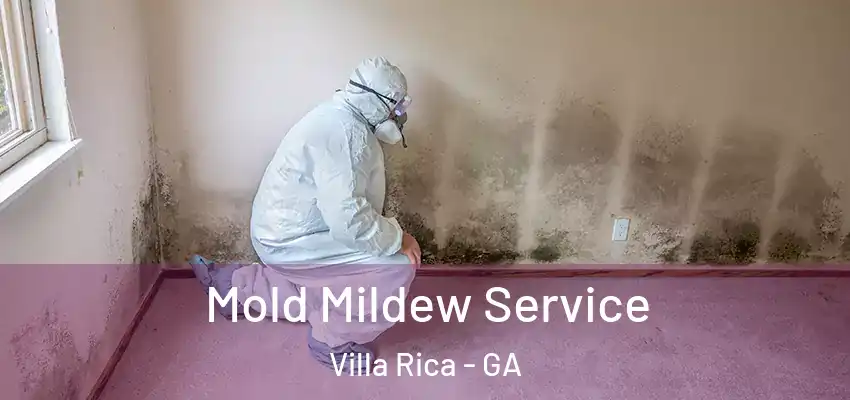  Mold Mildew Service Villa Rica - GA