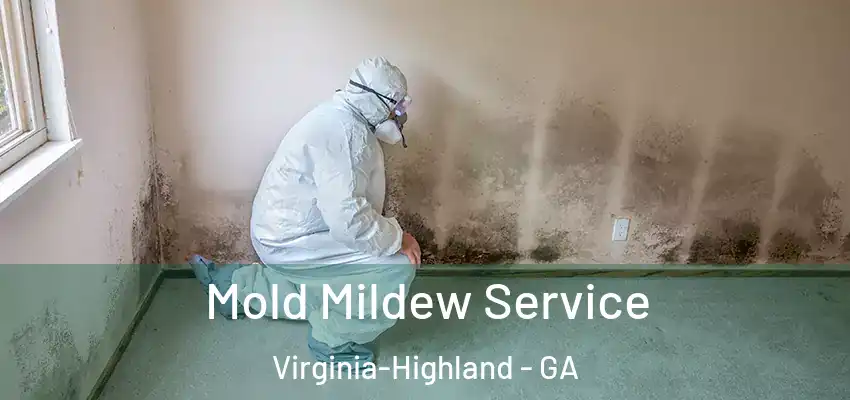  Mold Mildew Service Virginia-Highland - GA