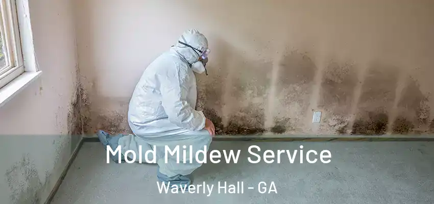  Mold Mildew Service Waverly Hall - GA
