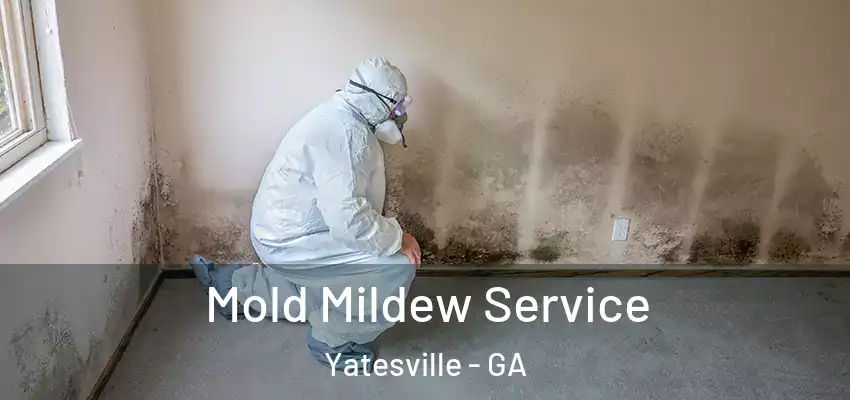  Mold Mildew Service Yatesville - GA