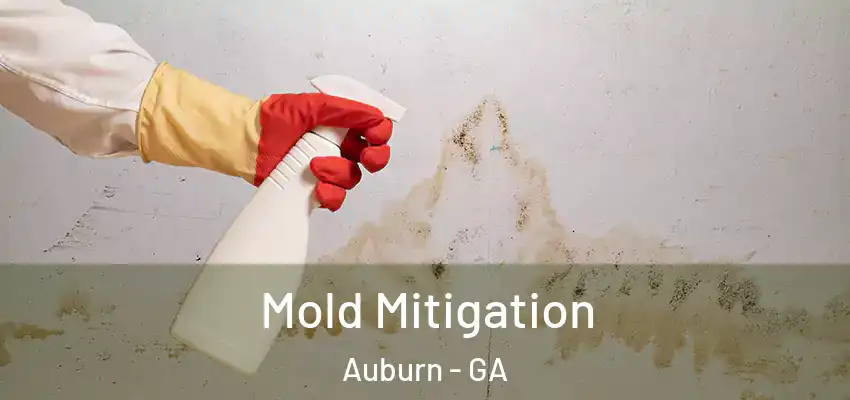 Mold Mitigation Auburn - GA