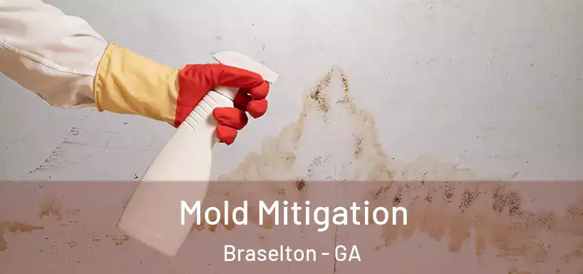 Mold Mitigation Braselton - GA