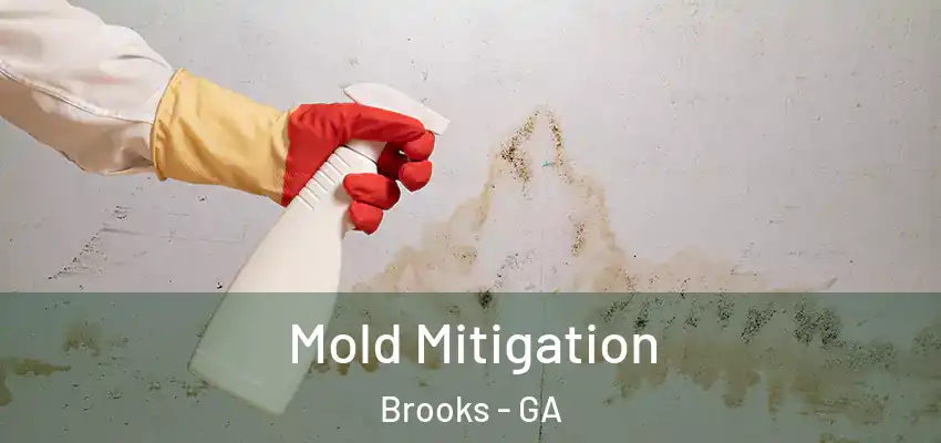 Mold Mitigation Brooks - GA
