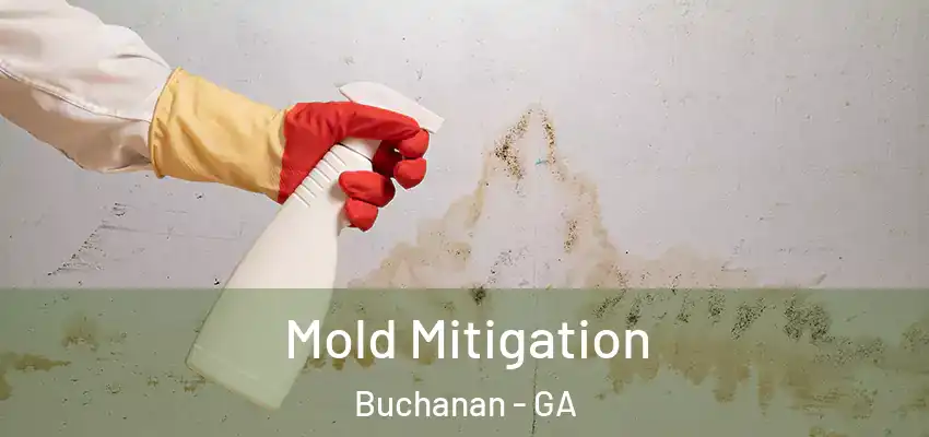 Mold Mitigation Buchanan - GA