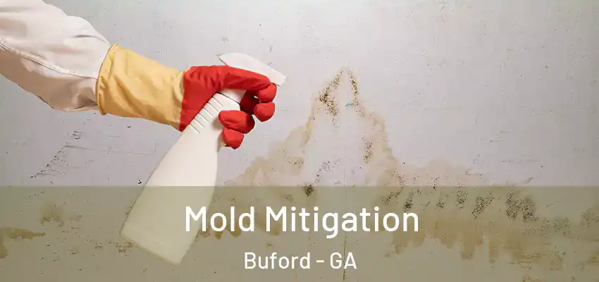 Mold Mitigation Buford - GA