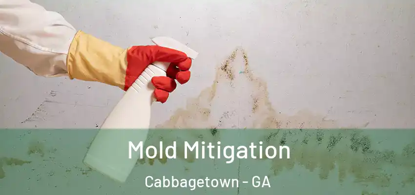Mold Mitigation Cabbagetown - GA