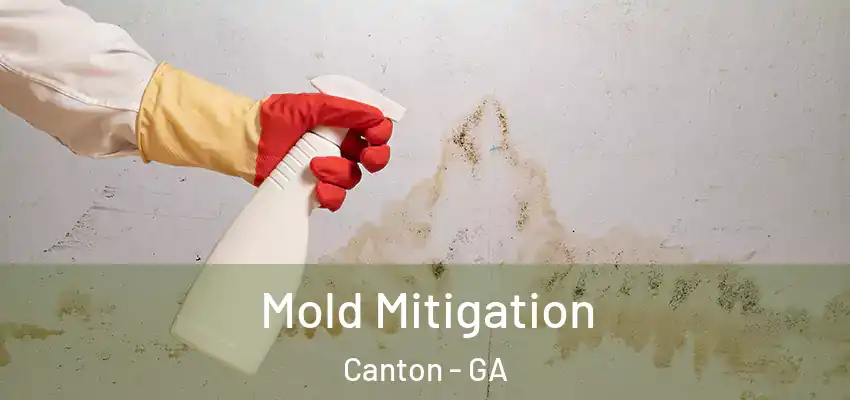  Mold Mitigation Canton - GA
