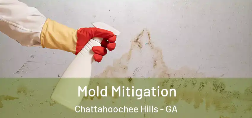 Mold Mitigation Chattahoochee Hills - GA