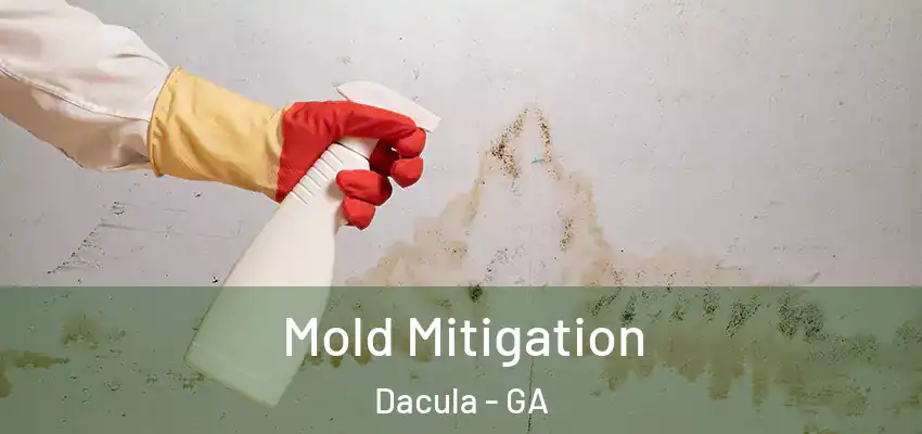  Mold Mitigation Dacula - GA