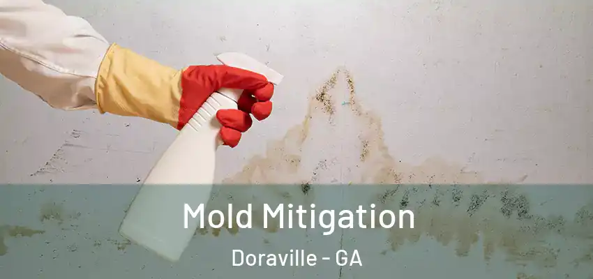 Mold Mitigation Doraville - GA