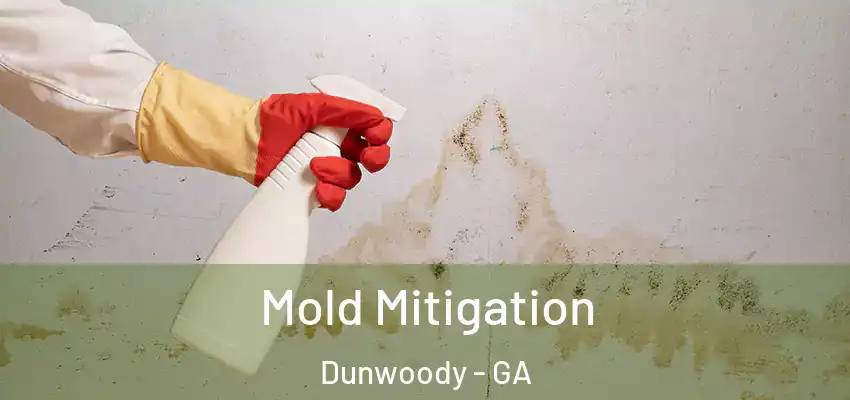 Mold Mitigation Dunwoody - GA