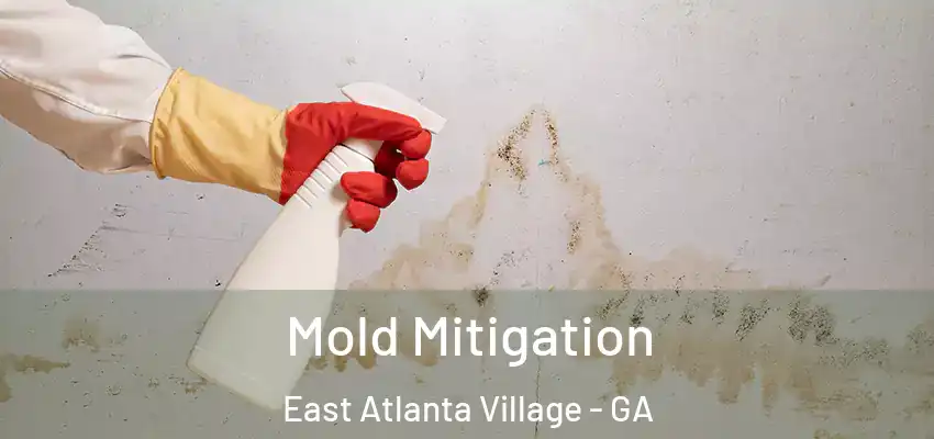 Mold Mitigation East Atlanta Village - GA