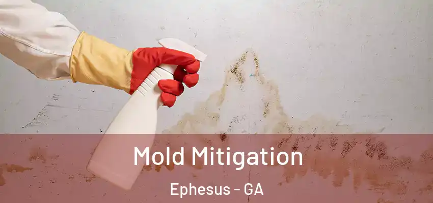 Mold Mitigation Ephesus - GA