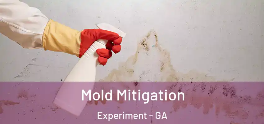 Mold Mitigation Experiment - GA