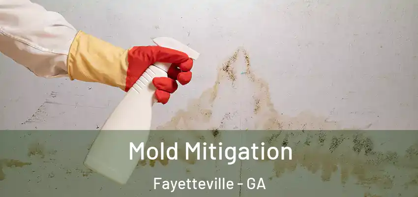  Mold Mitigation Fayetteville - GA