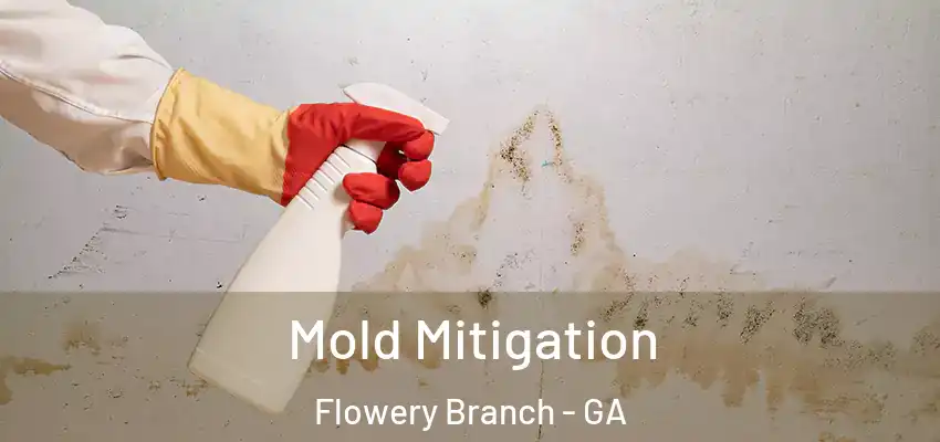  Mold Mitigation Flowery Branch - GA