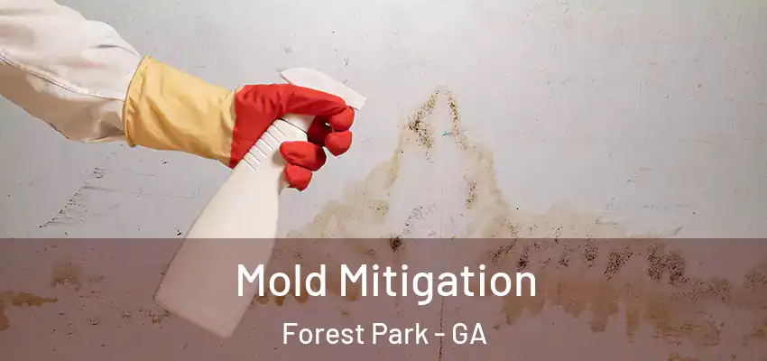 Mold Mitigation Forest Park - GA