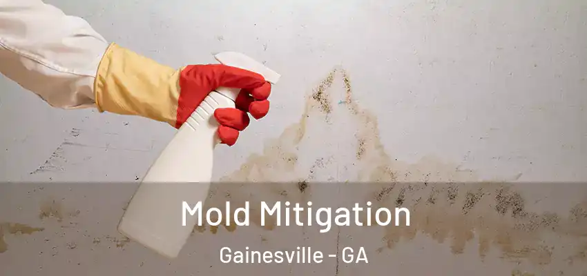  Mold Mitigation Gainesville - GA