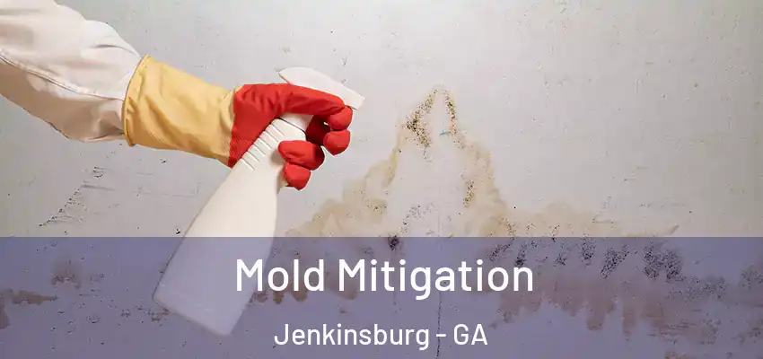 Mold Mitigation Jenkinsburg - GA