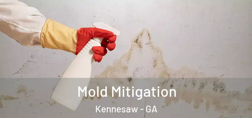  Mold Mitigation Kennesaw - GA