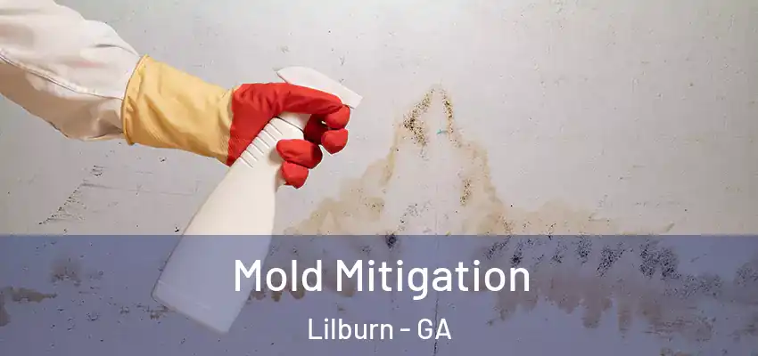  Mold Mitigation Lilburn - GA