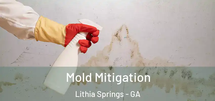  Mold Mitigation Lithia Springs - GA