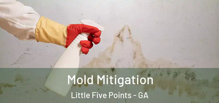 Mold Mitigation Little Five Points - GA