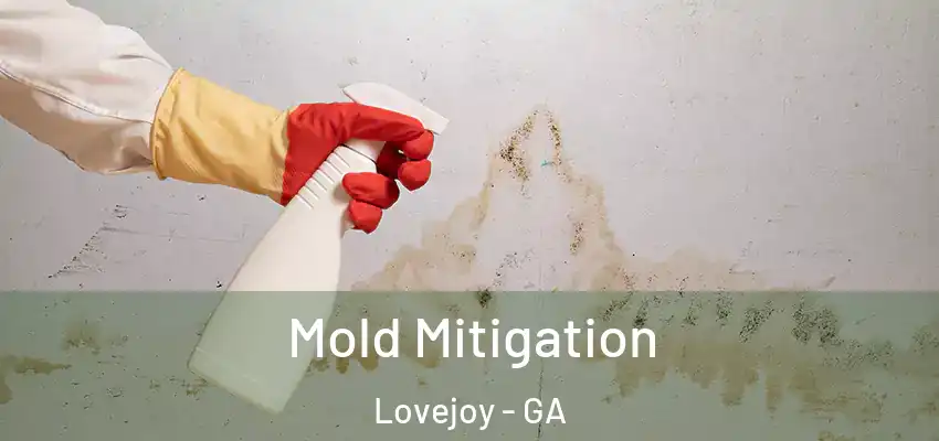  Mold Mitigation Lovejoy - GA