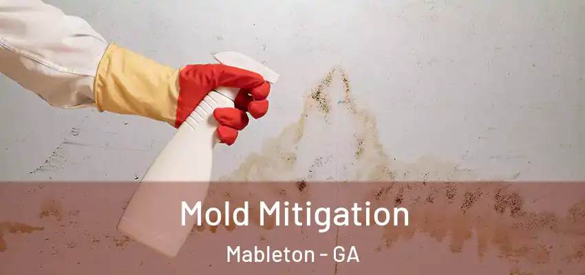 Mold Mitigation Mableton - GA