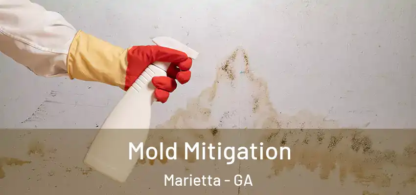  Mold Mitigation Marietta - GA
