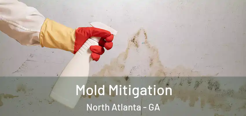 Mold Mitigation North Atlanta - GA