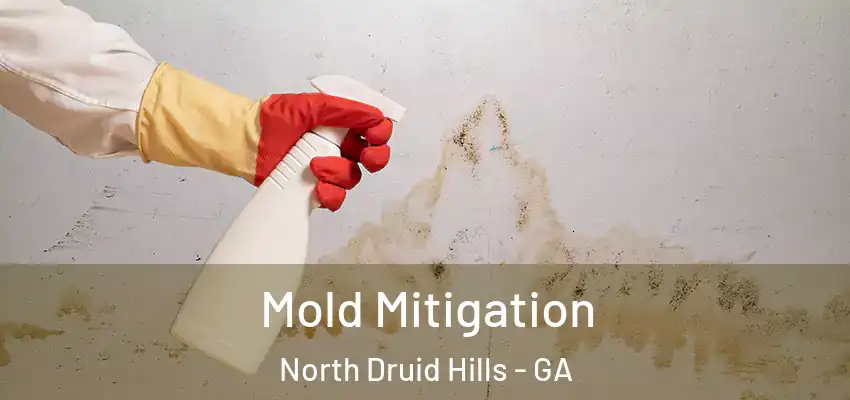 Mold Mitigation North Druid Hills - GA
