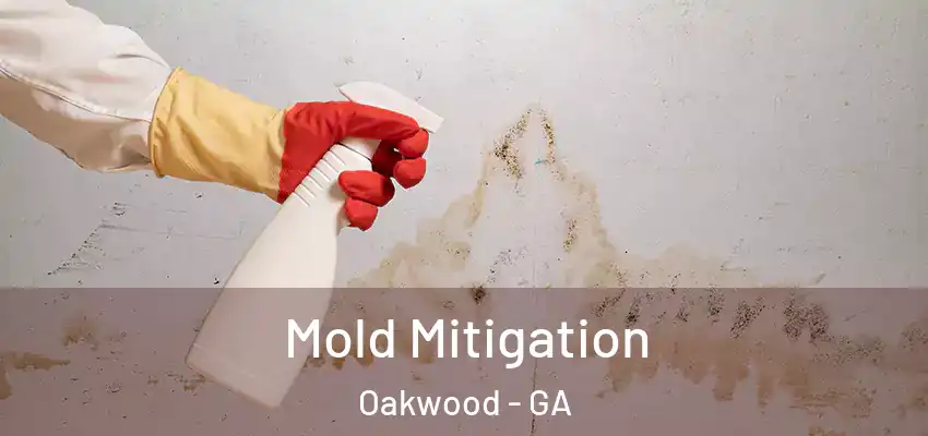  Mold Mitigation Oakwood - GA