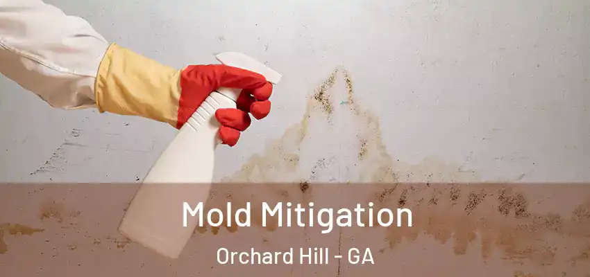  Mold Mitigation Orchard Hill - GA
