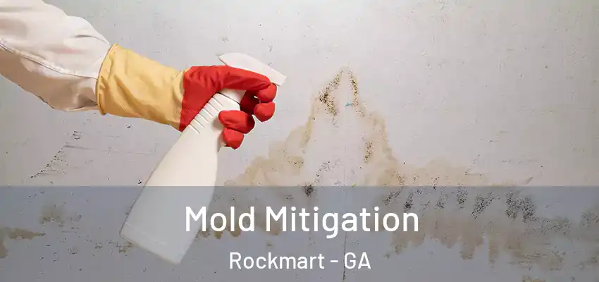  Mold Mitigation Rockmart - GA