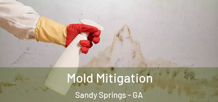  Mold Mitigation Sandy Springs - GA