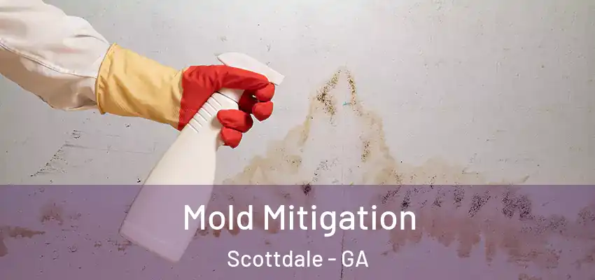  Mold Mitigation Scottdale - GA