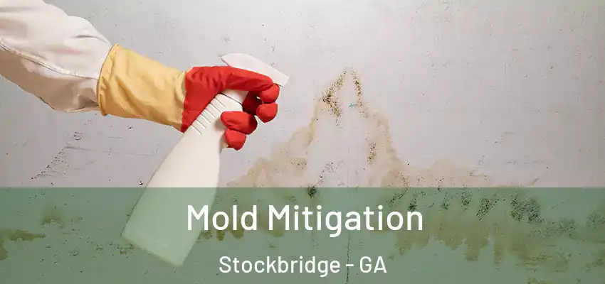  Mold Mitigation Stockbridge - GA