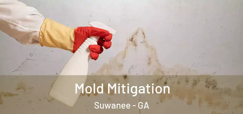  Mold Mitigation Suwanee - GA