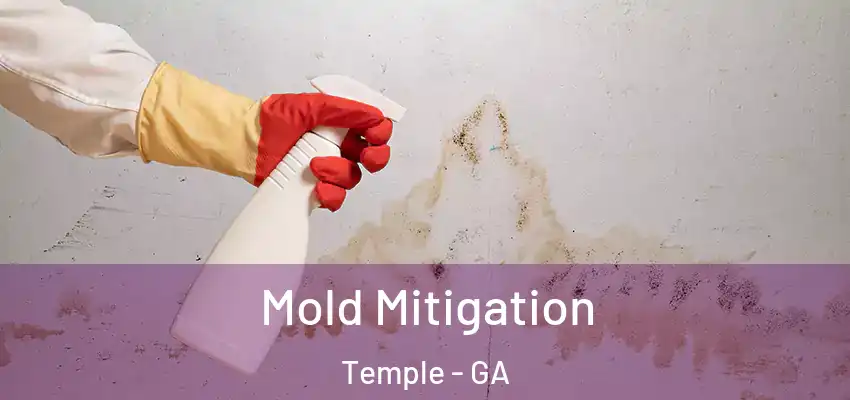  Mold Mitigation Temple - GA