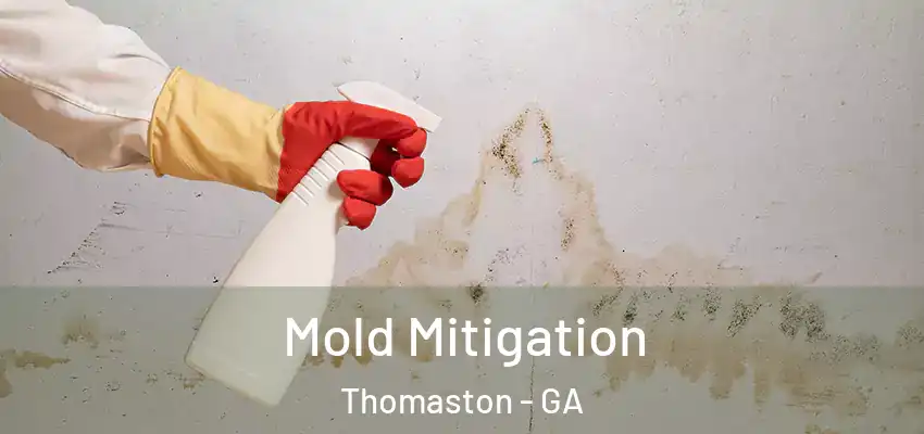  Mold Mitigation Thomaston - GA