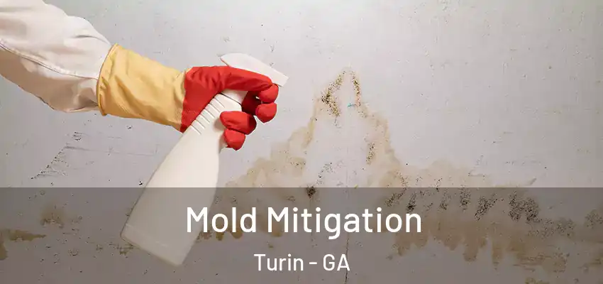 Mold Mitigation Turin - GA