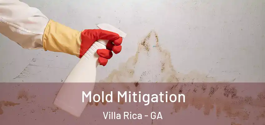 Mold Mitigation Villa Rica - GA