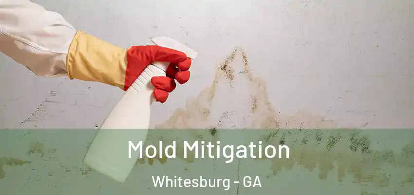  Mold Mitigation Whitesburg - GA
