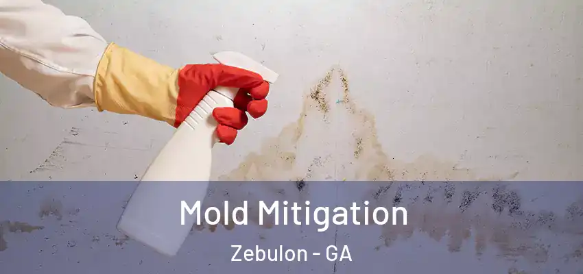  Mold Mitigation Zebulon - GA
