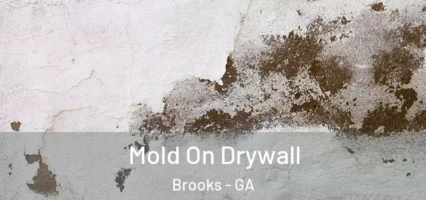 Mold On Drywall Brooks - GA