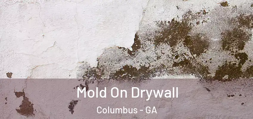 Mold On Drywall Columbus - GA